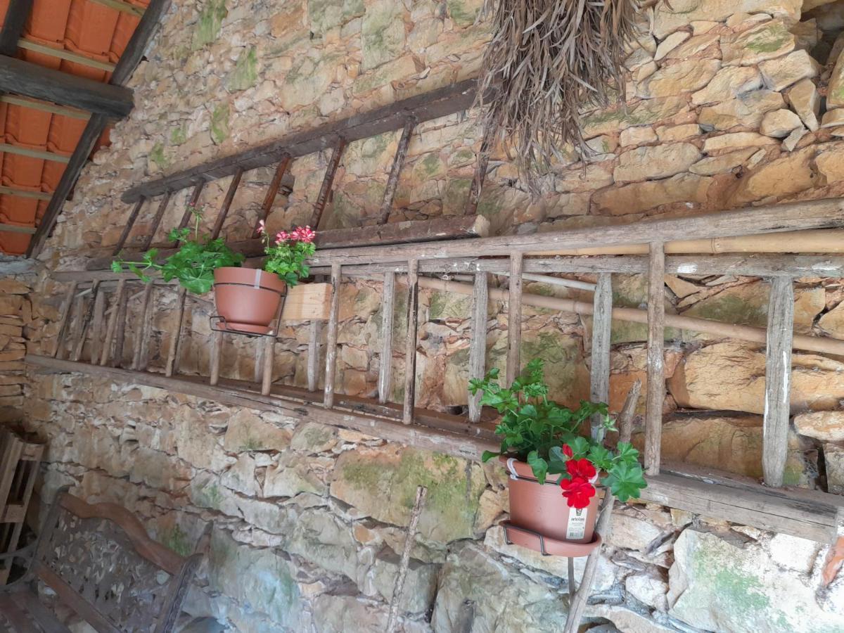 Casa Dos Terranhos Villa Tomar Eksteriør bilde